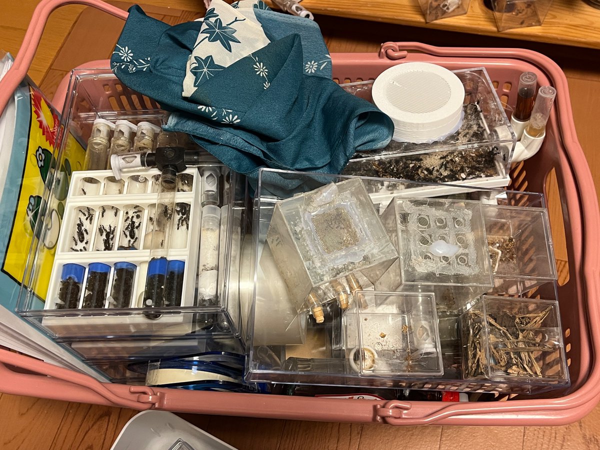 3日間の展示会が終了いたしました！

1日目 434名
2日目 603名
最終日 620名

と、合計で1657名もの方に見ていただきました！
無事に終えることができて嬉しいです。来ていただき誠にありがとうございました！！