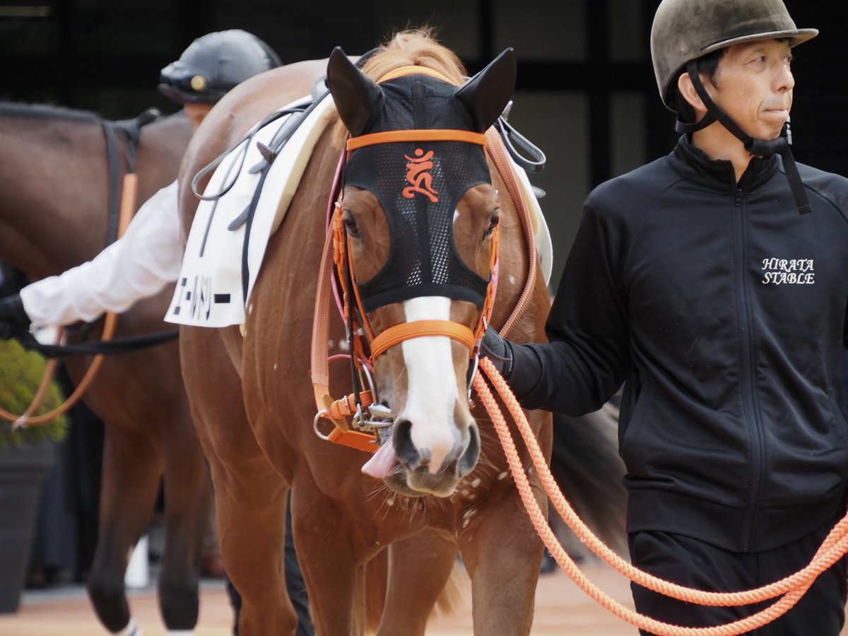 馬のポニー 廃盤 アニア ポニー 馬 A-07 レア - メルカリ