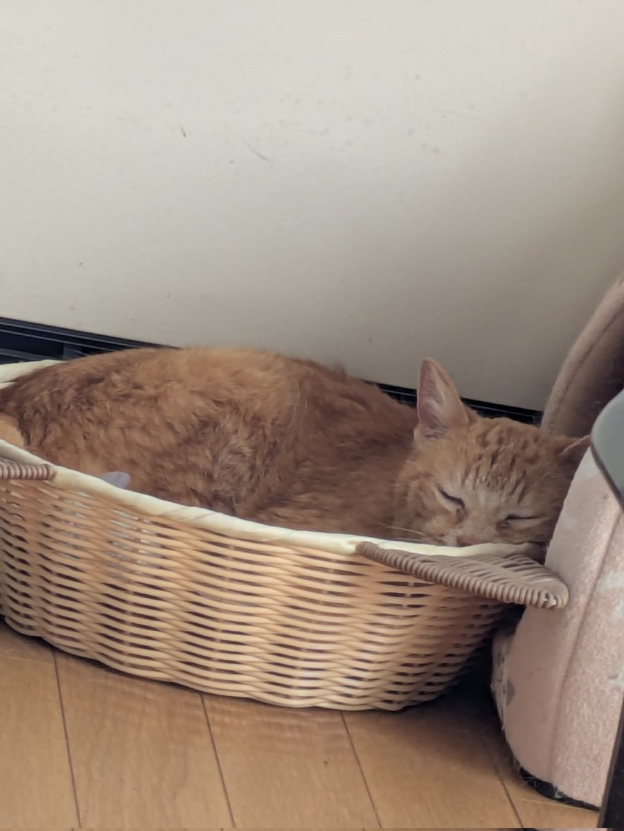 みぃページ R.T( ￣▽￣)と、みぃさん❣️ on X