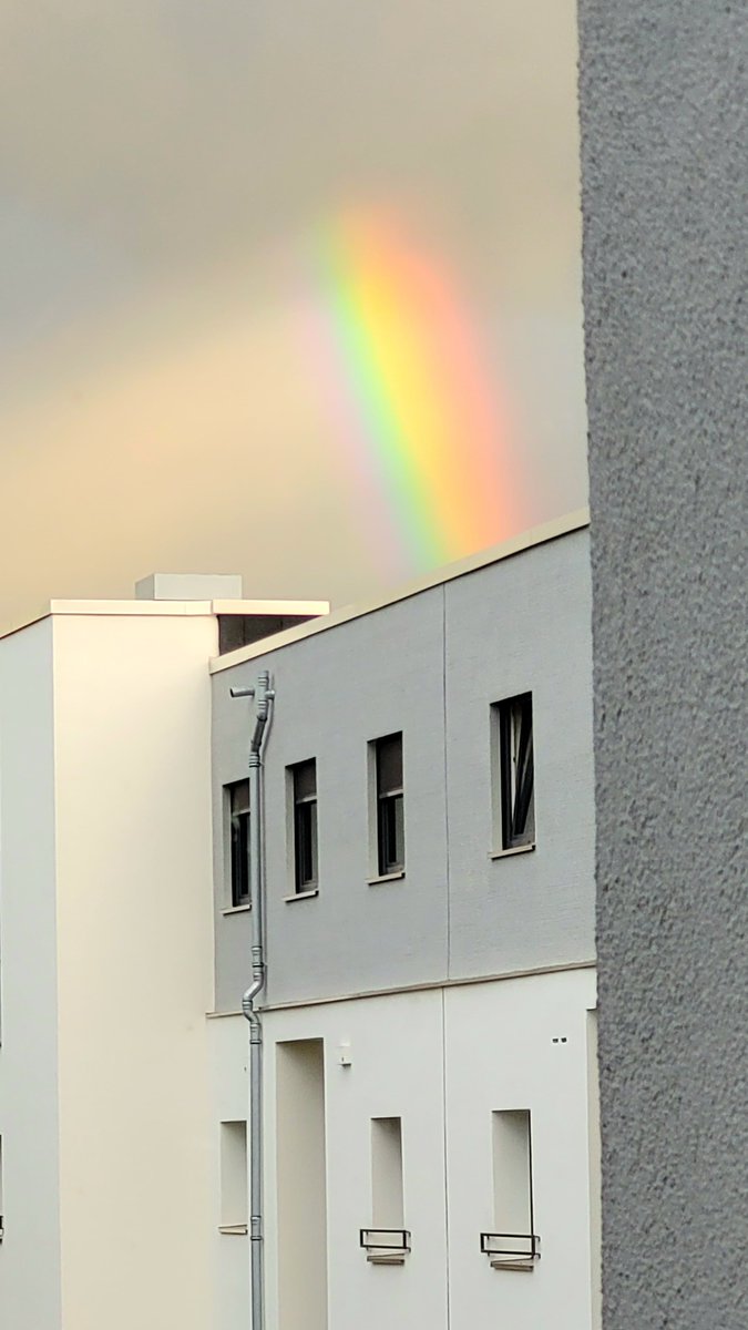 #Twitterrudel #Audrey Liebe Pfreunde... Ich hatte am 12.10. im Himmel Geburtstag und damit die Mama nicht so traurig ist, habe ich ihr da diesen tollen Regenbogen 🌈  geschickt... Ich habe nur vergessen, Euch das rechtzeitig zu zeigen... 
Ich bin immer irgendwie da🐶♥️