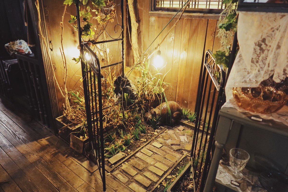 高円寺にある、物語り喫茶室 エセルの中庭は異世界に迷い込んでしまったような感覚が味わえる喫茶店。
毒林檎の紅茶など物語りに沿ったメニューがおもしろい。