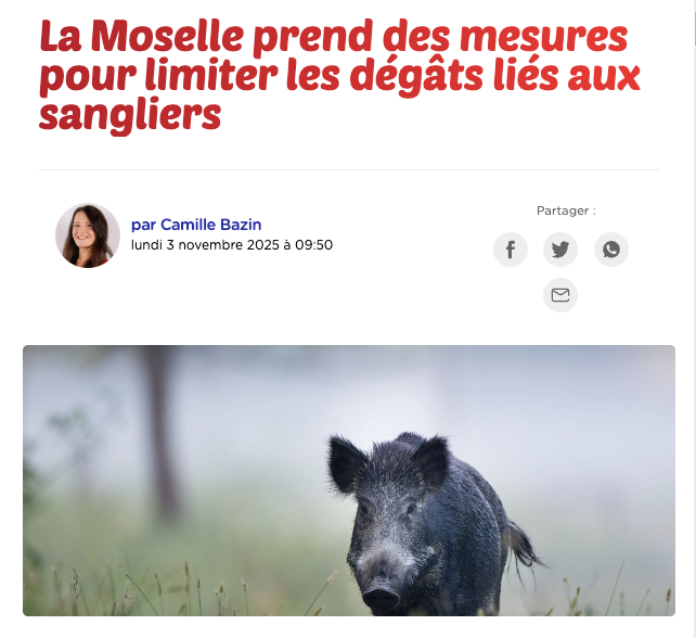 FrancAller_info's tweet photo. C'était obligé, le titre en Comic Sans, @RVHunter57 ?
🤦♂️
#JaiPasMéritéÇa
#Merdre
#YaPlusDerepect
#Moselle
#Chasse #ChassePartage
➡️ La Moselle prend des mesures pour limiter les dégâts liés aux sangliers, @Radio_Melodie :
https://t.co/13D8EVadZR