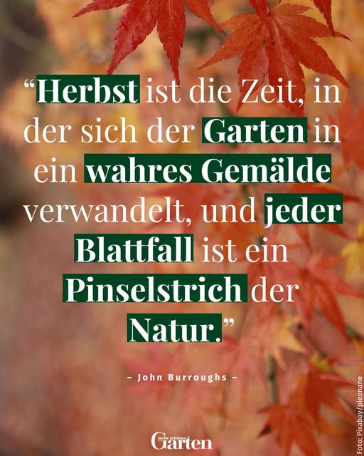 Carola Blaney🍃💚🍃 (@blaneycarola) on Twitter photo 