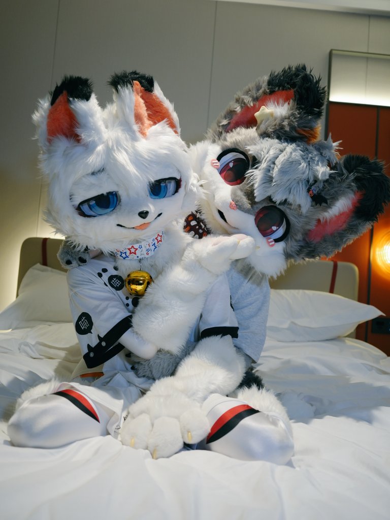 狐狸摆烂了 tweet media