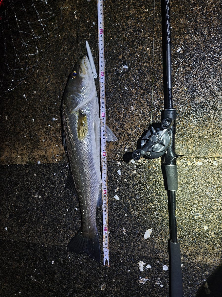 Hiroりんです。 HIRO様 HIRO様 HIRO様 ヒロ様 GLITCH TOKYO | SUPER73 ZX GLITCH TOKYO