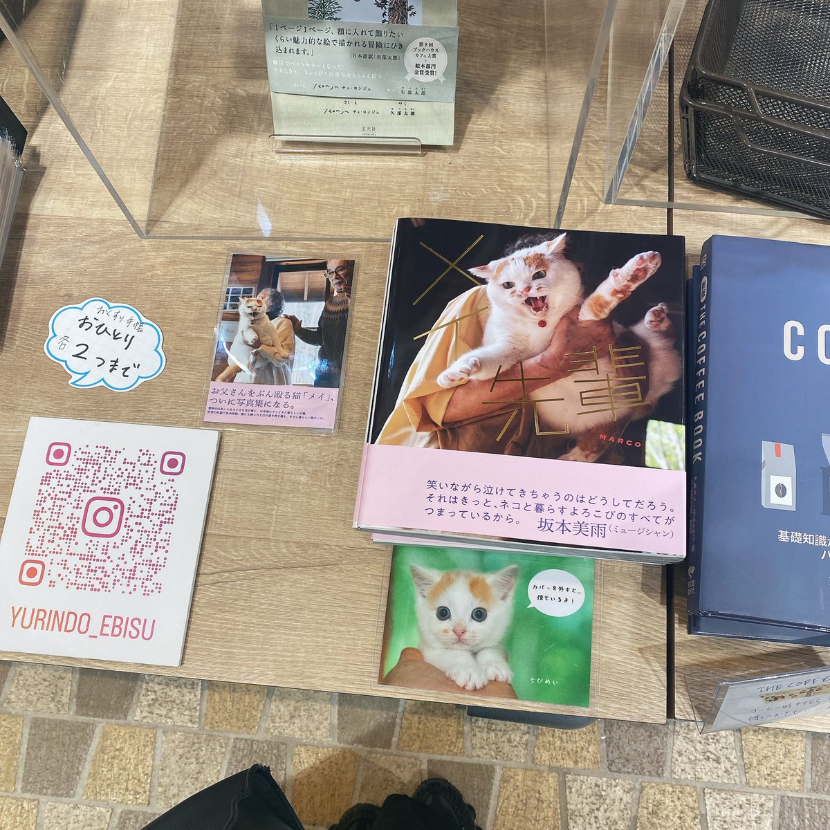 MARCO 🟡写真集「メイ先輩」🟡 (@marco74444) / Posts / X