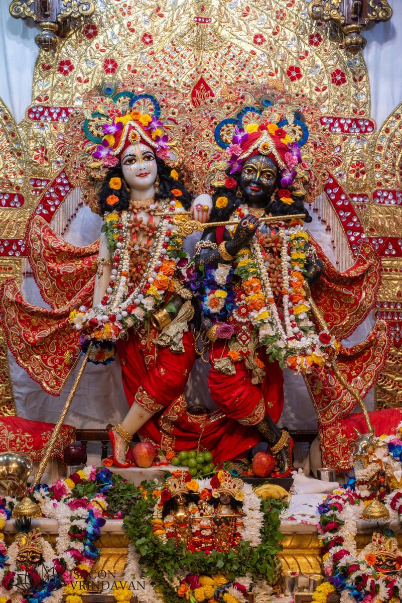 theholy_monk's tweet photo. Krishna Balaram 🌷🍎🍁🥀🛕🙏🏻

Today's Singar Darshan darshan. ISKCON Krishna Balaram Temple. Vrindavan. Date: 03 Nov2025 https://t.co/ESSWoYWKEV