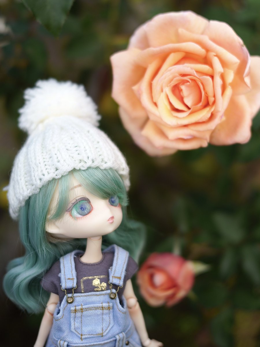 リカルメ花歩 neko25dl on X