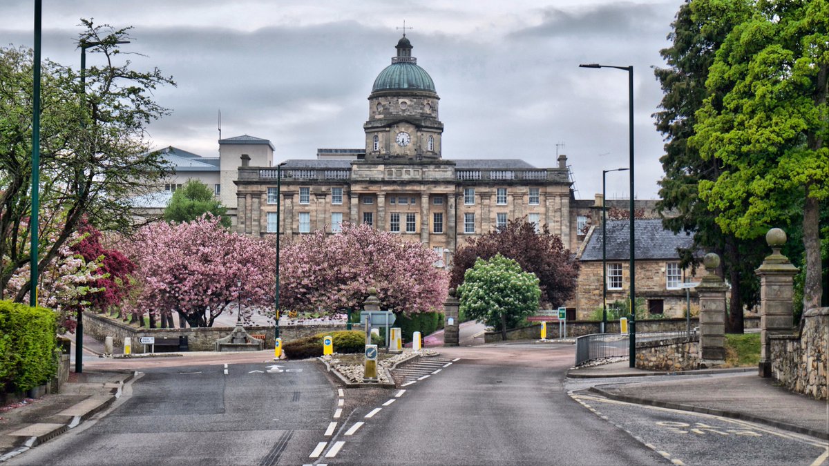 Dr Gray's Hospital tweet media