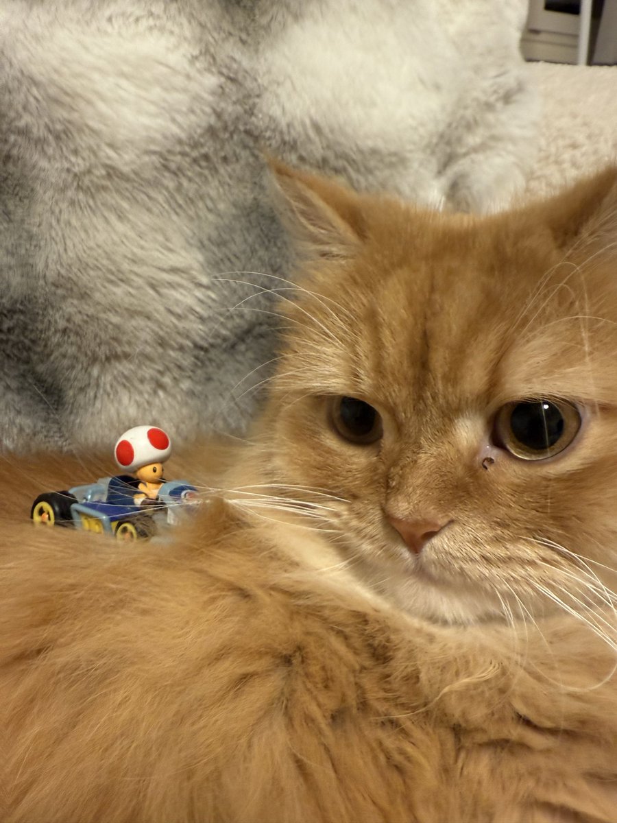 ｷｷｰｯｯ ﾄﾞﾝ!