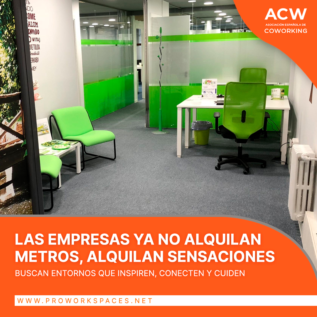 ProWorkSpaces's tweet image. Las empresas ya no alquilan metros, alquilan sensaciones📏

Buscan entornos que inspiren, conecten y cuiden. El diseño, el servicio y la tecnología son los nuevos pilares del valor inmobiliario💬

👉🏻Encuentra tu espacio ideal en nuestra web: proworkspaces.net