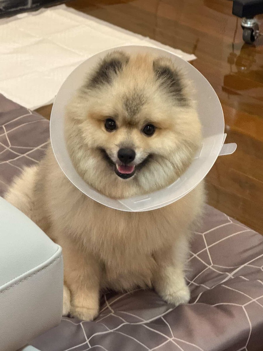 ดูไปดูมาก็เหมือนบางแก้วอยู่นะ เคยเห็นป้ะแสนดีบ้านพี่อั้ม พัชราภา อะ