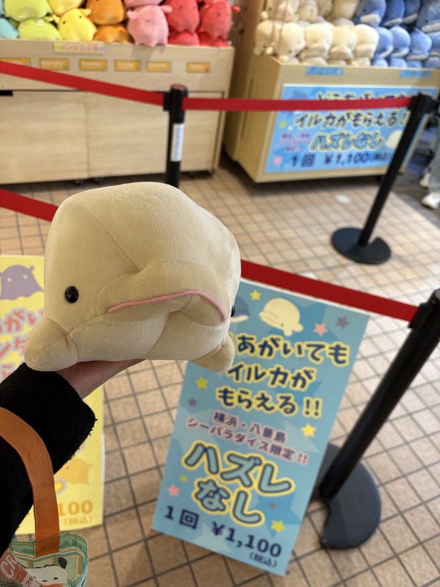 ゆんページ 💚ゆん🍓🍮☀️🧊 on X