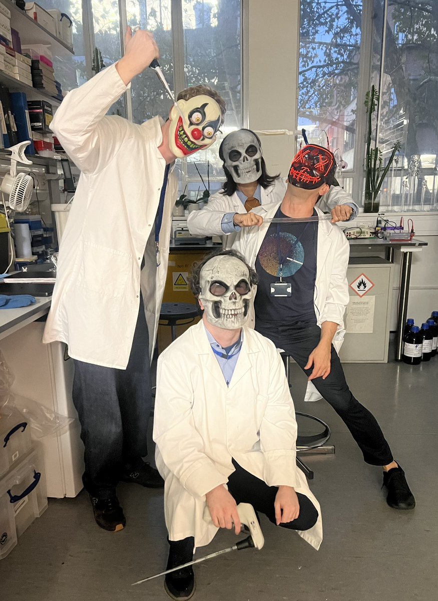 LabGaston's tweet image. Halloween 🎃 @ Gaston-Massuet’lab spooky time 🍁🍂🫣🍄