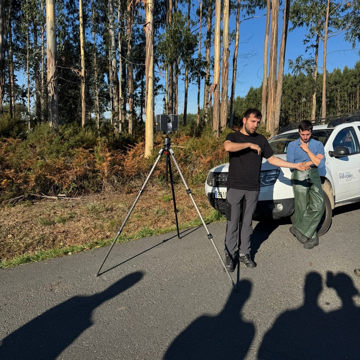 CoLAB ForestWISE tweet media