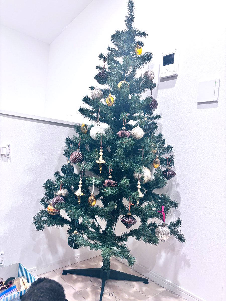 ぱぴこ (@inucococo) / Posts / X