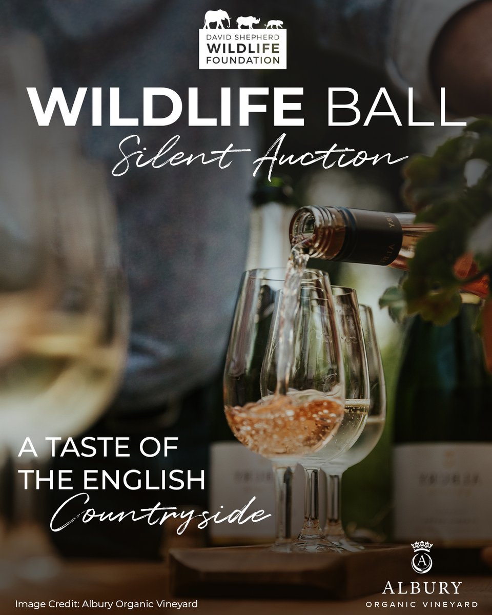 David Shepherd Wildlife Foundation tweet media