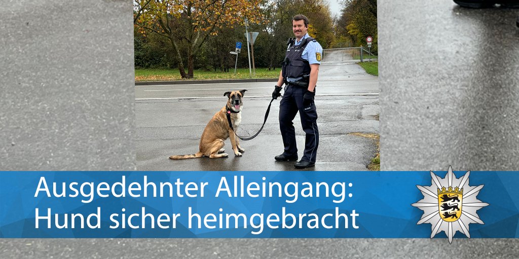 🚧 Einsamen Spaziergang beendet:

🐕 Gestern haben unsere Kollegen einen Hund, der alleine auf den Feldern von #Reutlingen unterwegs war, nach Hause gebracht.

👋 Wir wünschen euch einen guten Start in die Woche!
