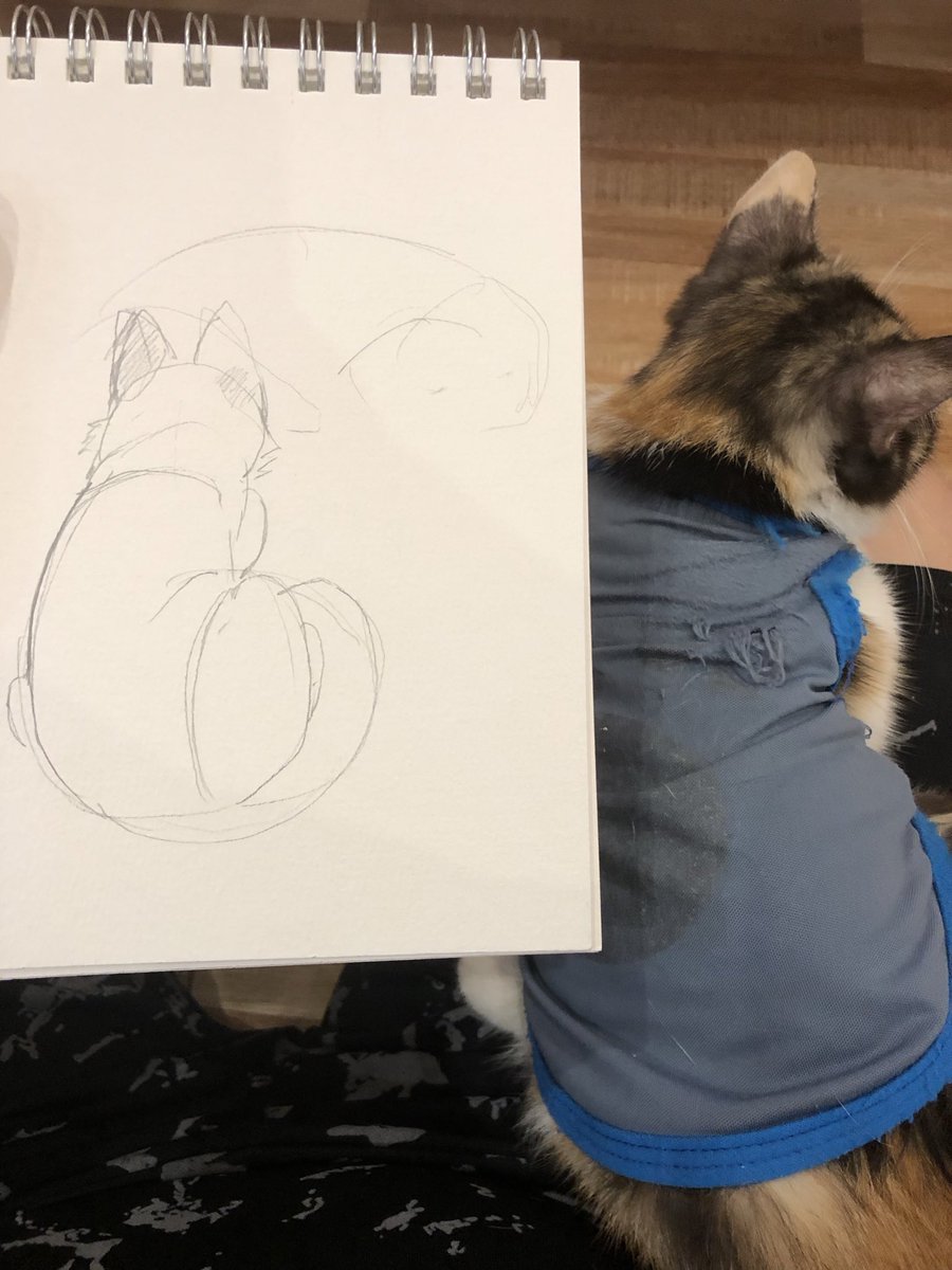 Help im currently imprisoned by this cat