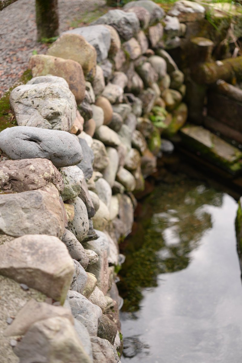 ずっと気になってたレンズをお借りして使ってみたけどもさすがに楽しすぎてむりすぎた
手持ちで撮ると結構重くて未だに指やら手のひらやら色んなとこが痛いけど、それが無ければもっと撮ってたしもっともっと欲しくなってしまってたかも