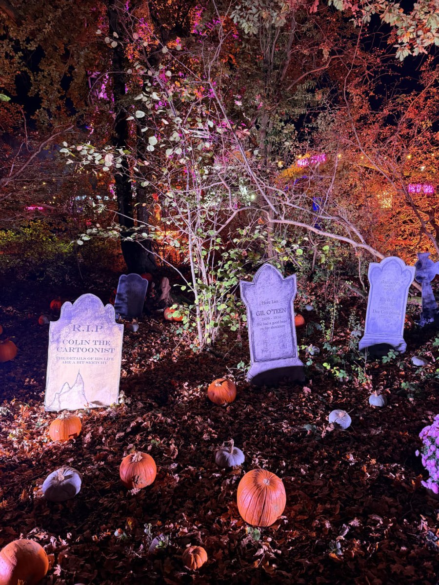 calchsara's tweet photo. From pumpkin trails to autumn lights, every step at Tulleys Farm feels like walking through a story  cozy, colorful, and full of life. 🎃🍁🌟 https://t.co/jr7J4adegA