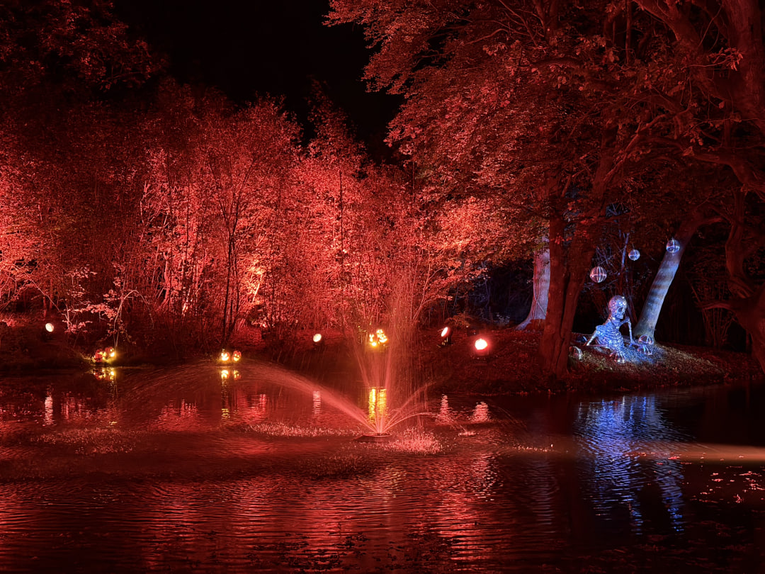 calchsara's tweet photo. From pumpkin trails to autumn lights, every step at Tulleys Farm feels like walking through a story  cozy, colorful, and full of life. 🎃🍁🌟 https://t.co/jr7J4adegA