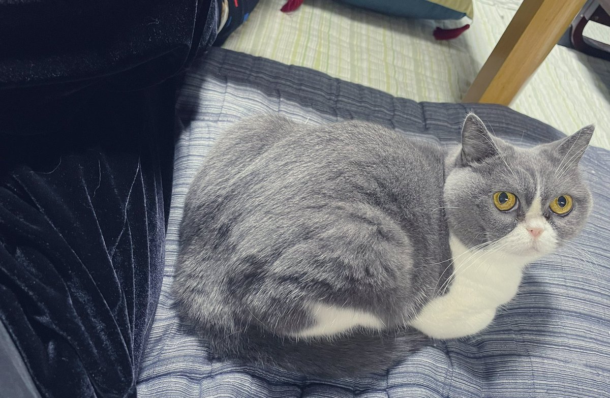 むつきちゃん on X