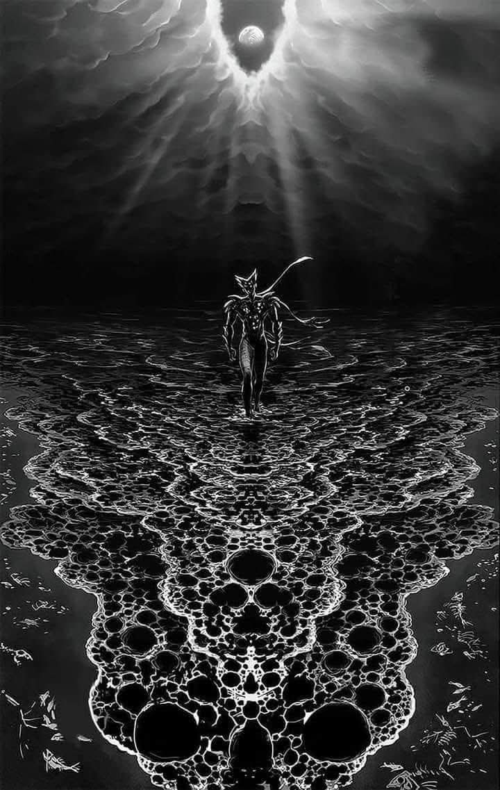 Nihal 🦇 tweet media