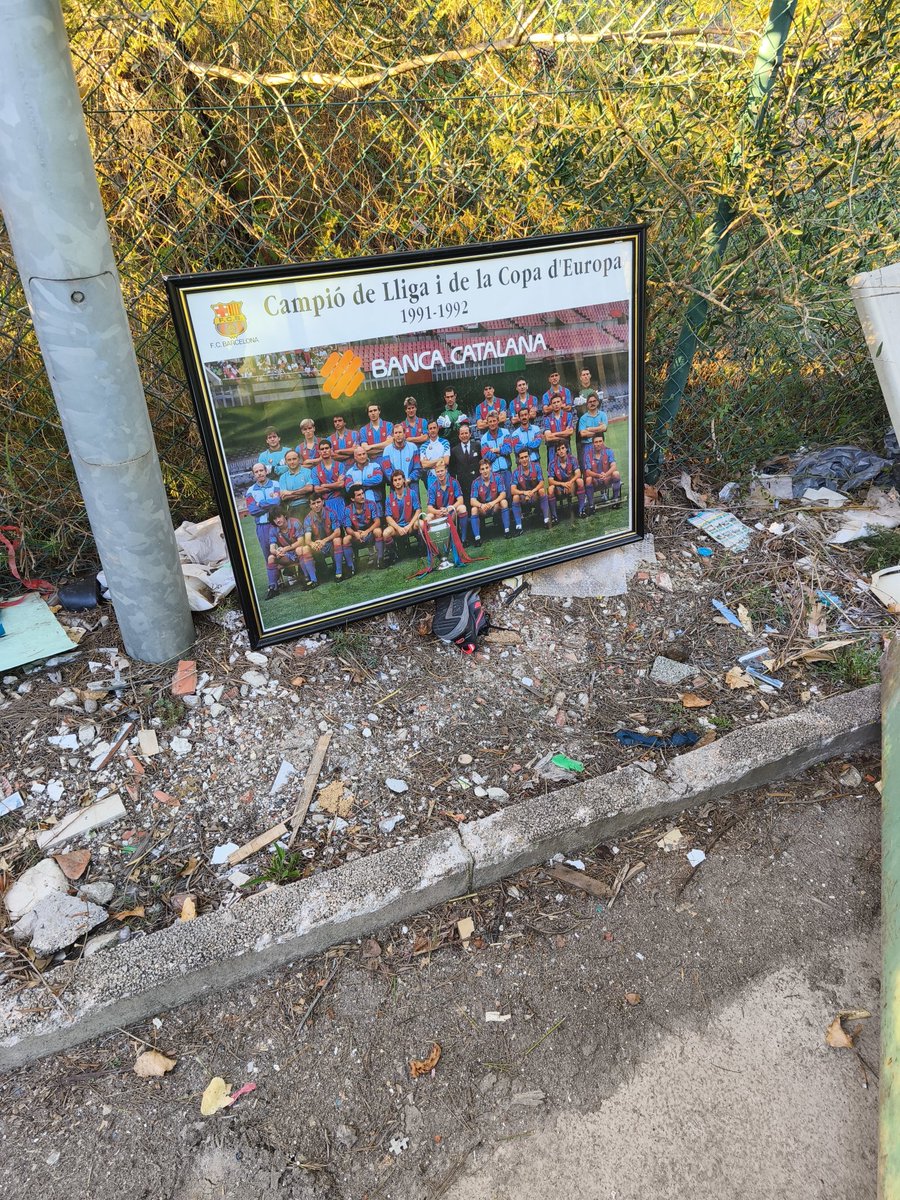 lomo plateado 🦧 (@gitanitodeminsk) on Twitter photo 