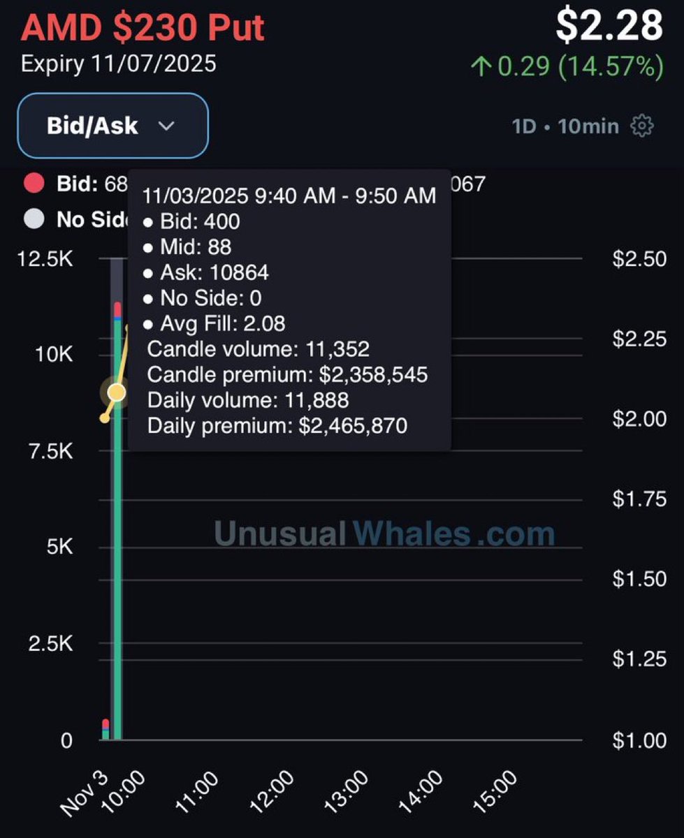 数百万的AMD 230Put，为财报准备？