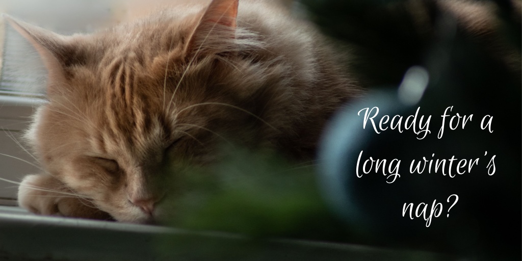 Before     you settle down for a long winter's nap,
 change the filter on your     furnace and make sure the maintenance is up-to-date. You'll be cosy and     warm while you sleep.