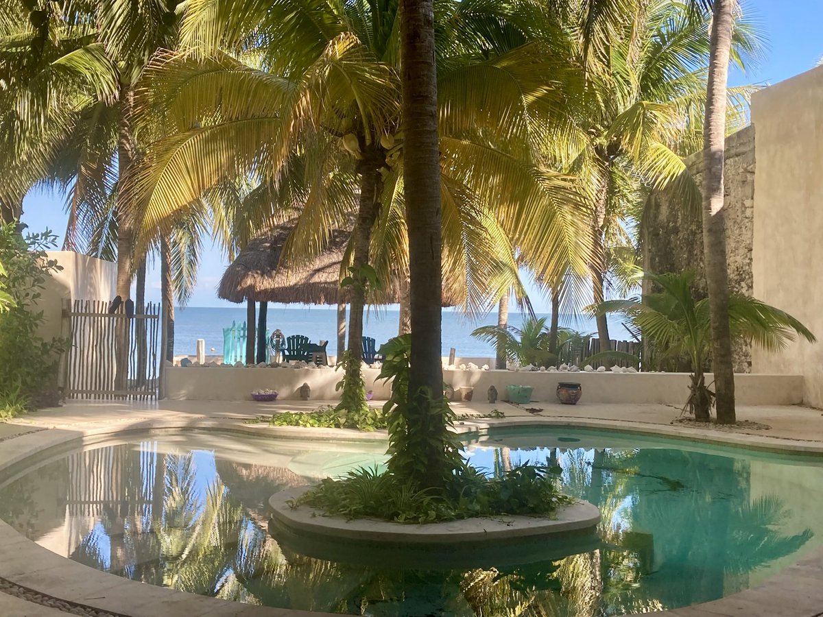 Your desk doesn’t inspire you — you inspire you.
But here’s the view that tries to take all the credit: morning reading and notes, quietly fueling the day.

(If a view keeps claiming to “inspire” you, maybe check who’s actually doing the work.) #DepthOverDopamine