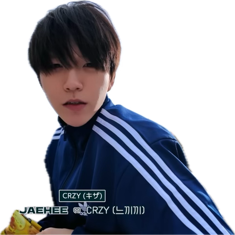 ぼふわんこ tweet media