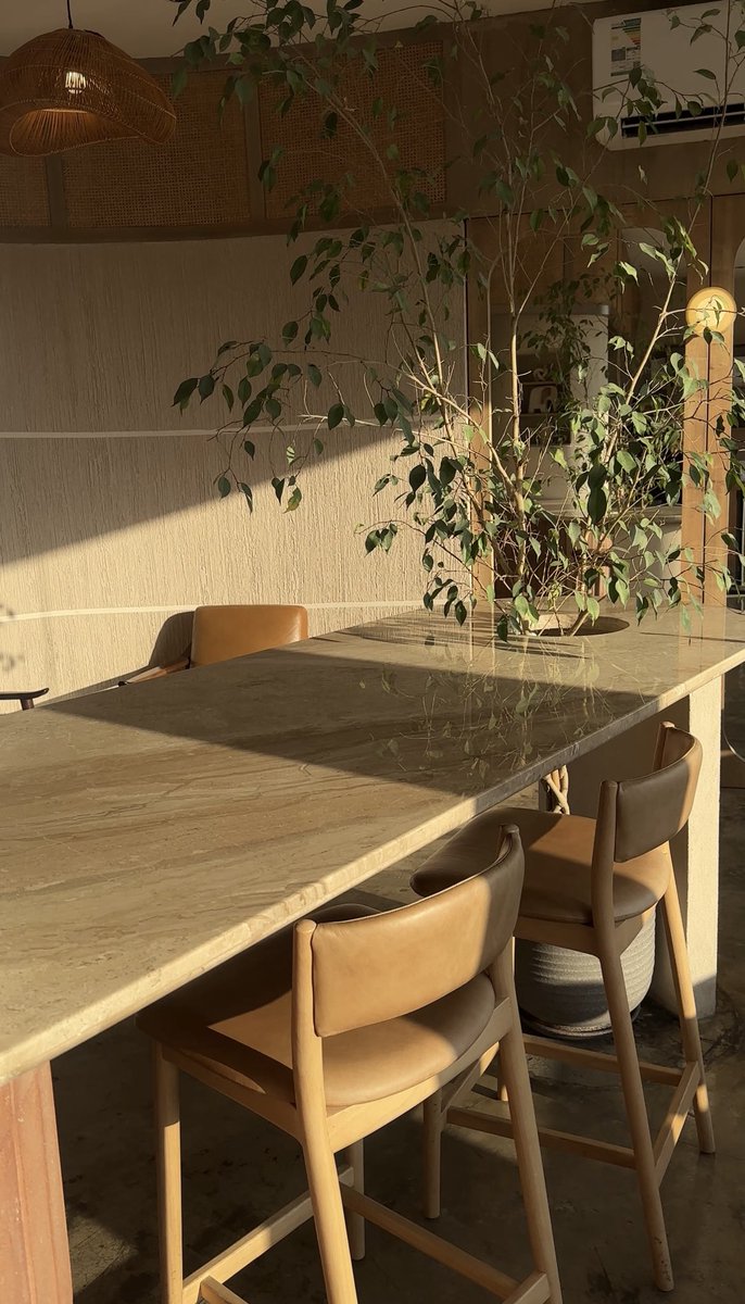 llllr9_'s tweet photo. ☀️🌱🫧☕️ https://t.co/kqgh4GaHPb