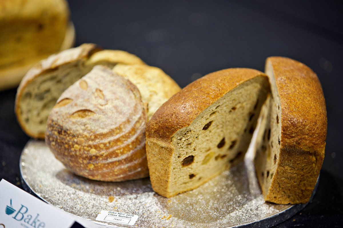 Robby Dee Media tweet media