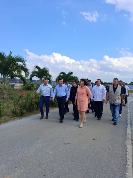 Este domingo, la @ZEDMariel tuvo el placer de recibir al Ministro de Vivienda y Desarrollo Urbano-Rural de la República Popular China Ni Hong, encuentro que refuerza el fuerte vínculo entre Cuba y China con vista al crecimiento económico de nuestra nación.
#CooperaciónCubaChina