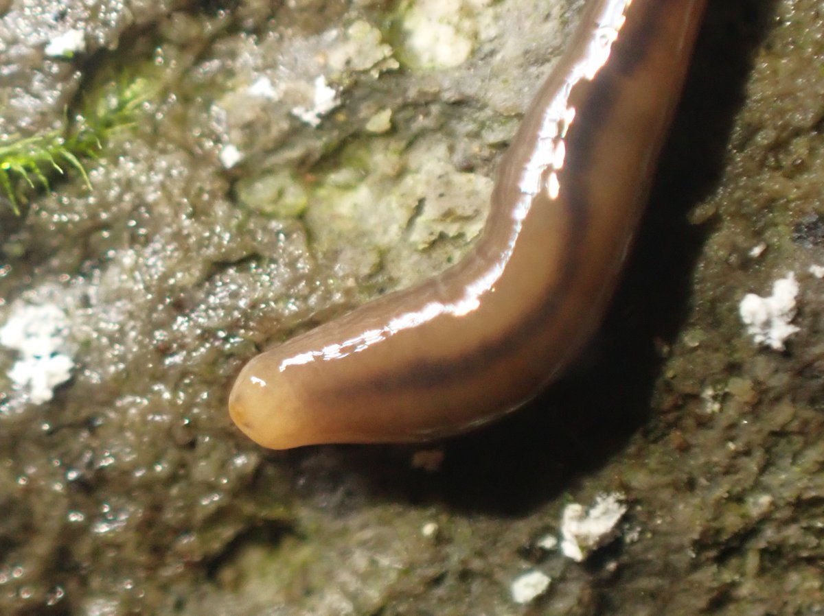 🍃 (@2n2RuUqXRU30114) / Posts / X