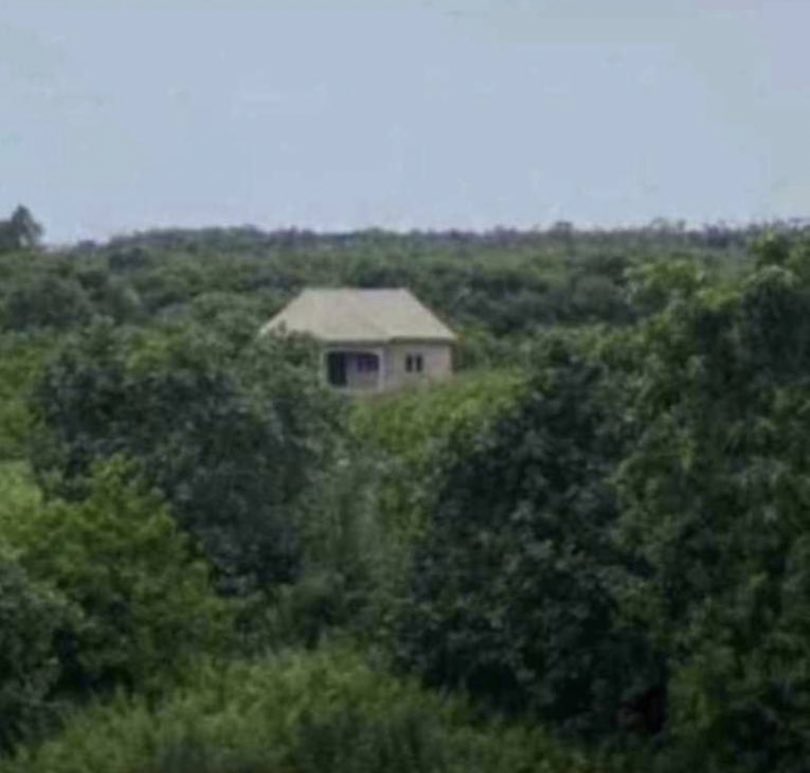 arnold_king🤴 tweet media