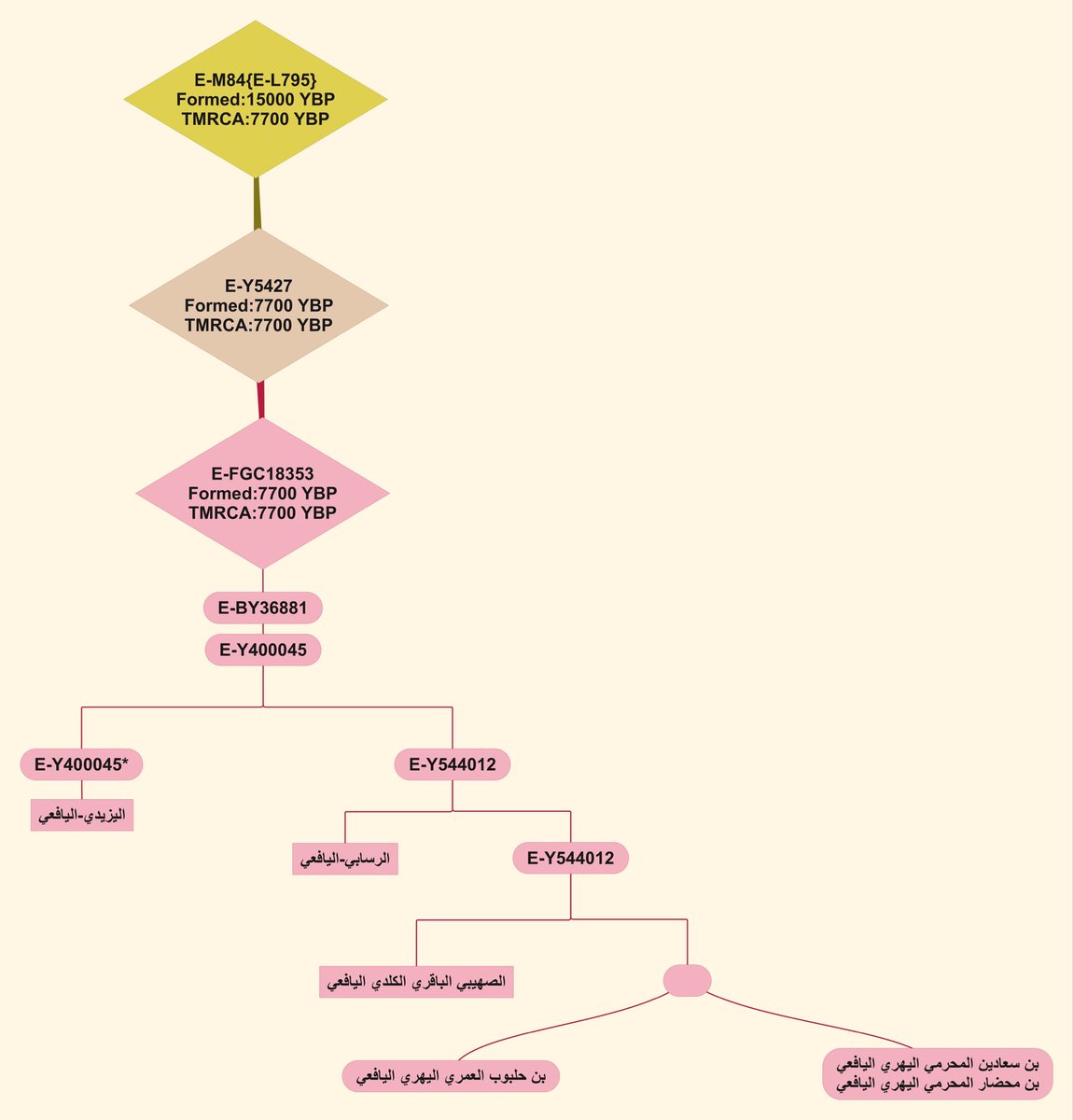 E-M84(P) tweet media