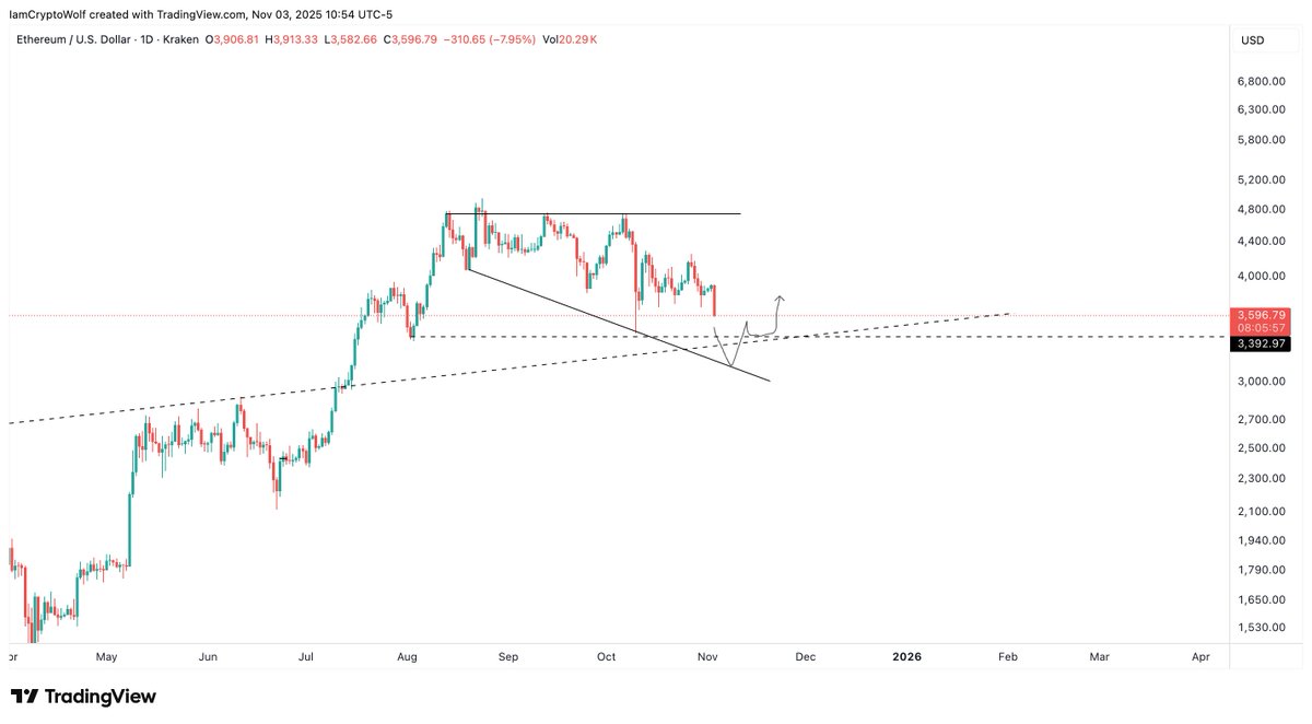 Wolf 🐺 tweet media