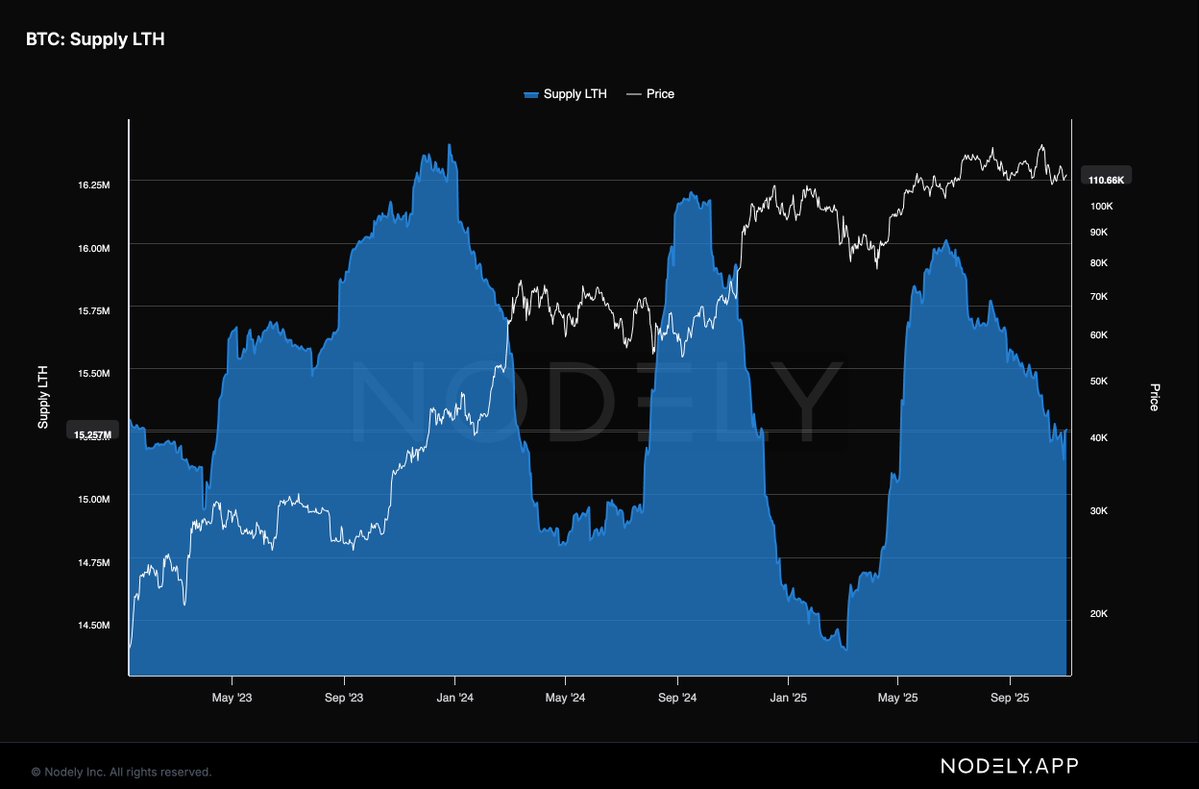 Mr. Candle (@professorcandle) / Posts / X