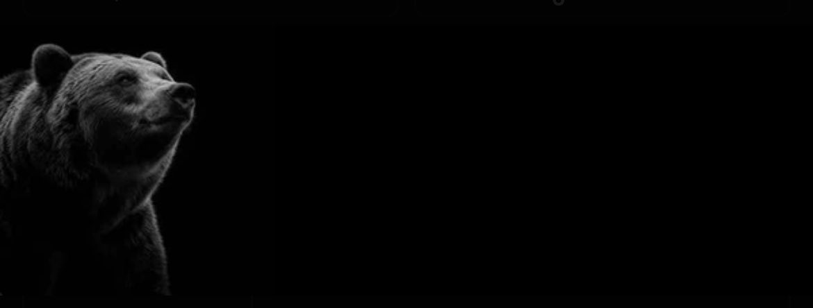 FinancePlugHQ's tweet image. Novembear