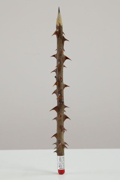 Siempre adorare al poeta
     que escribía espinas
  llorando petalos,
            sin saberse poesia

#12PalabrasalViento