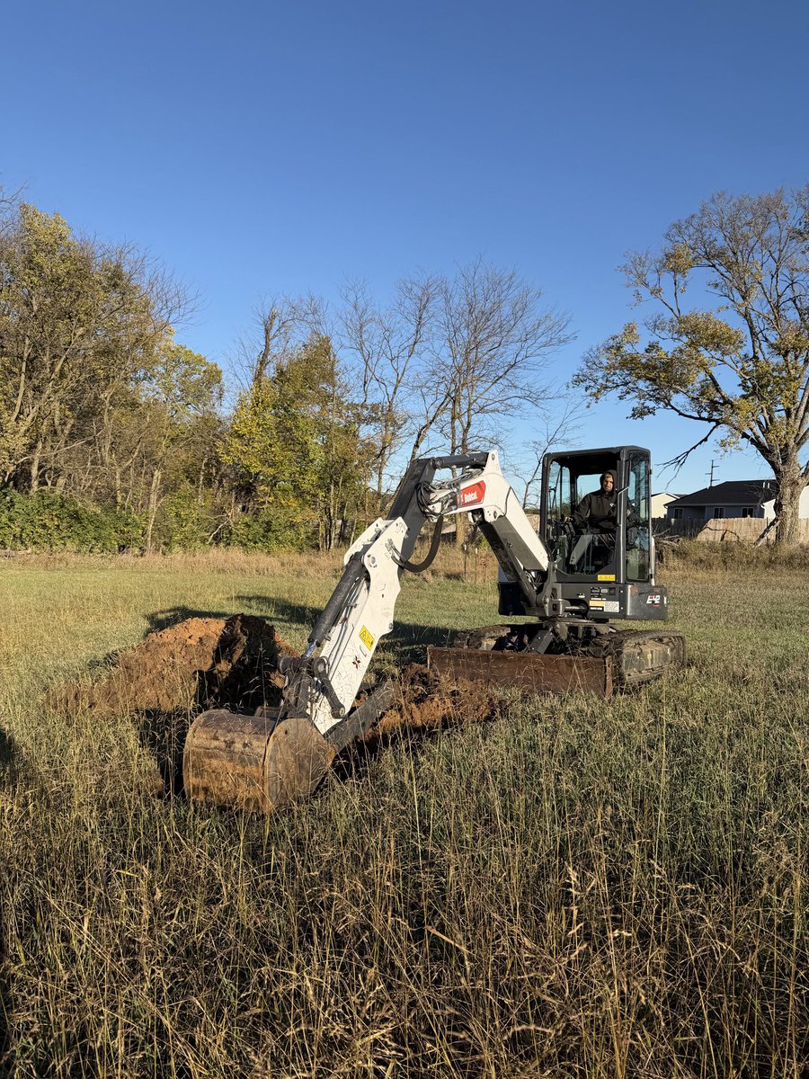 soilsdiva tweet media