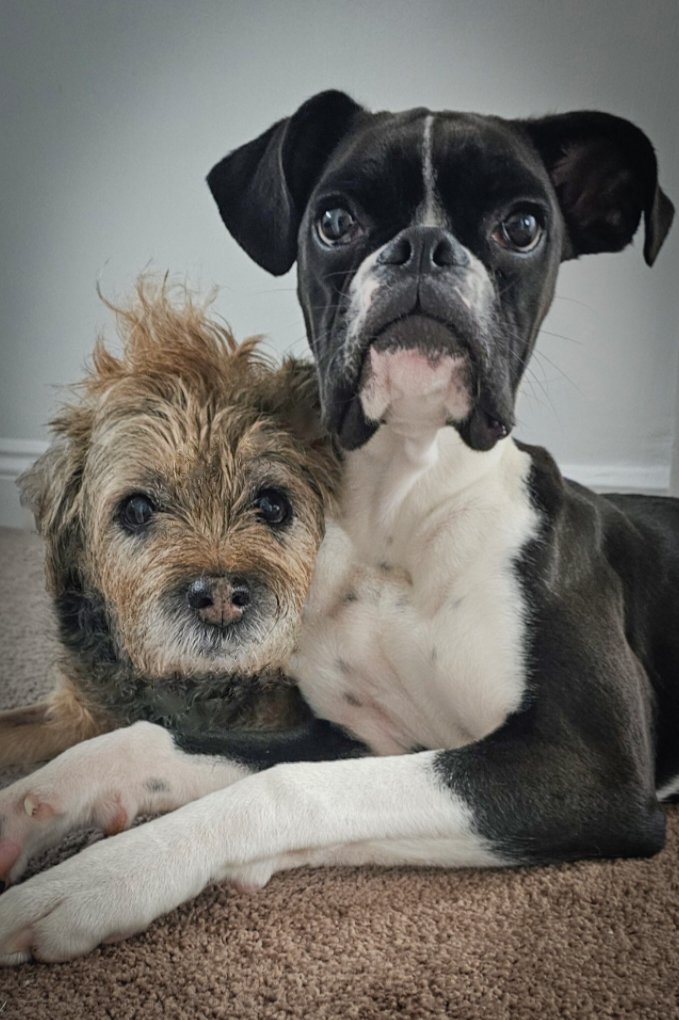 Ted, dat Lexi🌈 & Skye tweet media