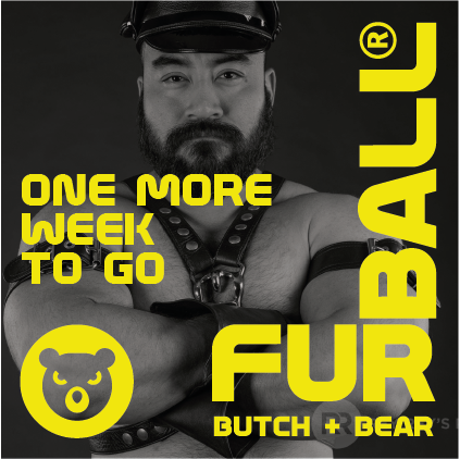 Furball Amsterdam tweet media