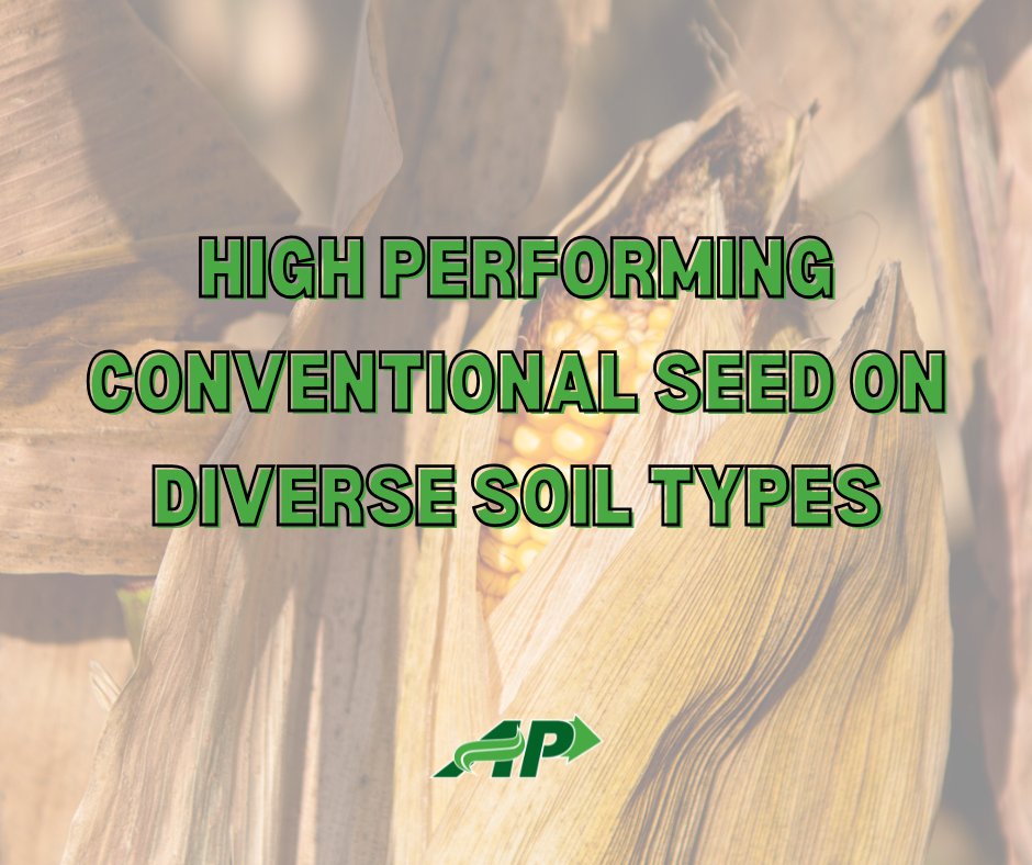 AgPerformanceBC's tweet image. Built on strong genetics. Proven in the field. 🌽 Ag Performance Conventional Corn stands tall all season long.

📞 Call 641-562-2370 | 
🔗 agperformance.com/conventional-c… 
#AgPerformance #YieldProtection  #ConventionalCorn #AgPerformance