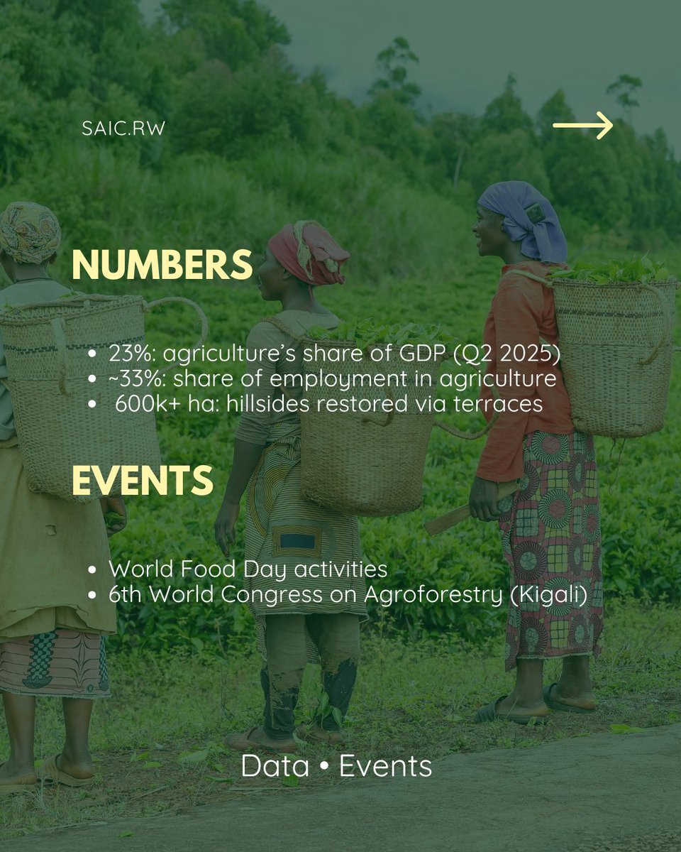 SAIC Rwanda tweet media