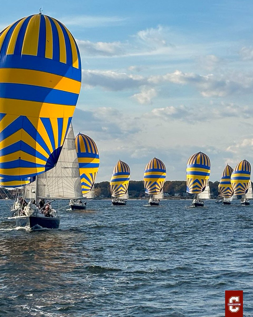 CofC Sailing tweet media