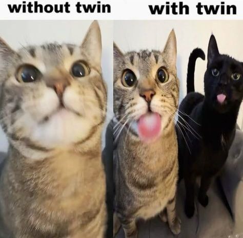 <a href="/KolibriFGC/">RC | Kolibri</a>